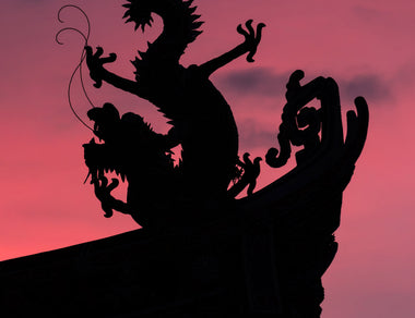Oolong Tea: The Black Dragon